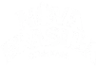 бяло лого Nova Brasilia